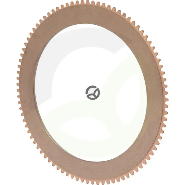 Sinterski disk - Finaff 5170228S