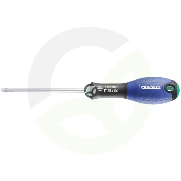 Izvijač TT20x100 - Expert E165396
