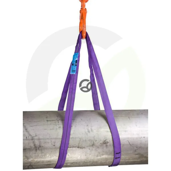 Trak za dvigovanje 1 tona 2 m - Rema LD0402000